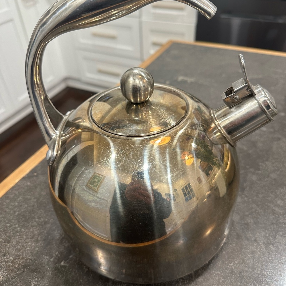 Williams Sonoma Silver Tea Kettle